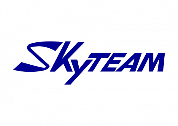 SkyTeam VIN decoder